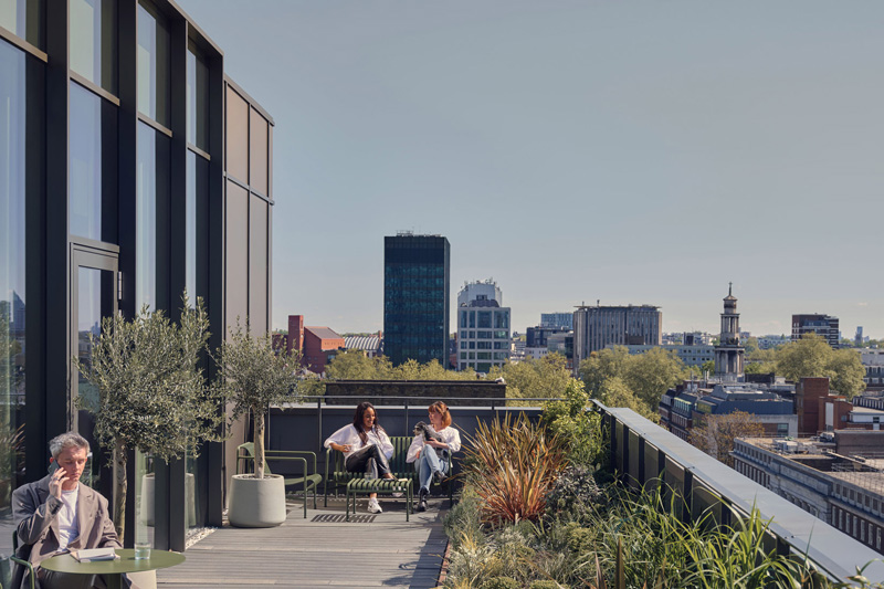 210 euston road chp